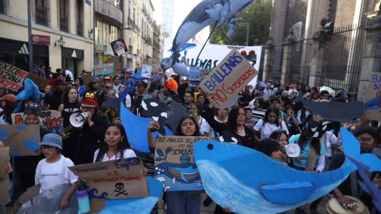 Marcha en Hermosillo contra proyectos de gas licuado en el Golfo de California Marcha en Hermosillo contra proyectos de gas licuado en el Golfo de California