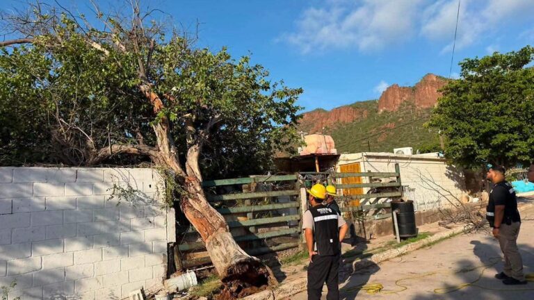 Vientos fuertes causan afectaciones en Guaymas y Protección Civil atiende la emergencia Vientos fuertes causan afectaciones en Guaymas y Protección Civil atiende la emergencia