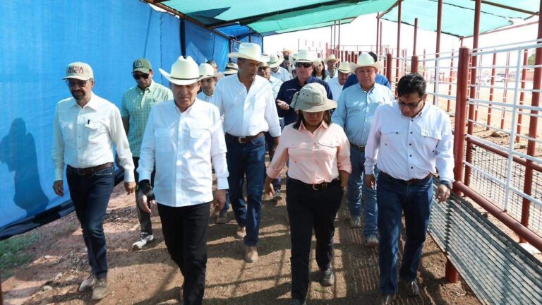 Sonora reabre frontera de Agua Prieta para exportar ganado bovino a EU