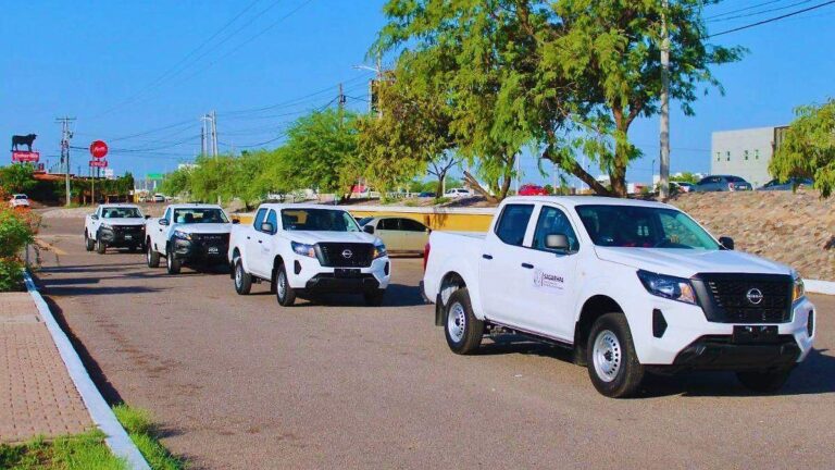 Sonora invierte más de 4.5 millones para combatir el gusano barrenador Sonora invierte más de 4.5 millones para combatir el gusano barrenador
