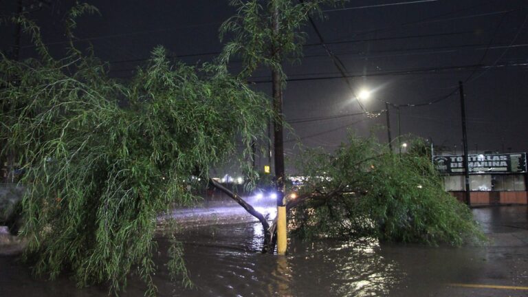 Protección Civil atiende incidencias por lluvias y vientos en Sonora