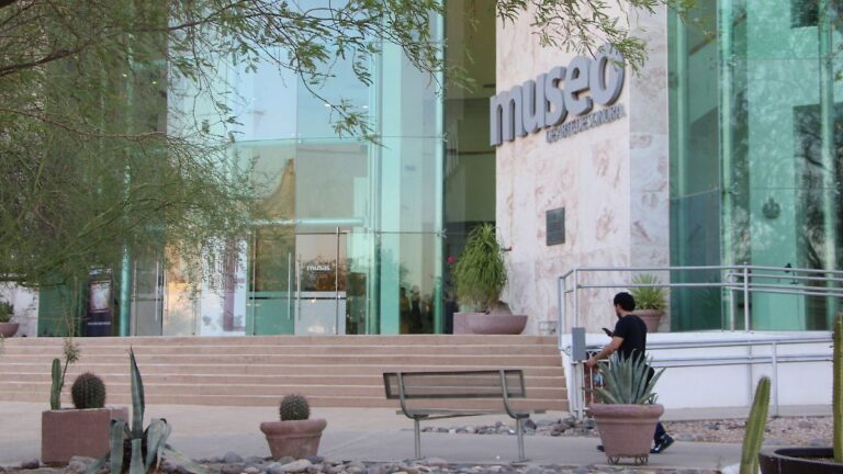 Exposición de tiburones llega al MUSAS Hermosillo del 4 de septiembre Exposición de tiburones llega al MUSAS Hermosillo del 4 de septiembre