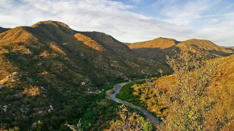 Plan de Justicia para remediar el río Sonora: avances y pendientes a ocho meses Plan de Justicia para remediar el río Sonora: avances y pendientes a ocho meses