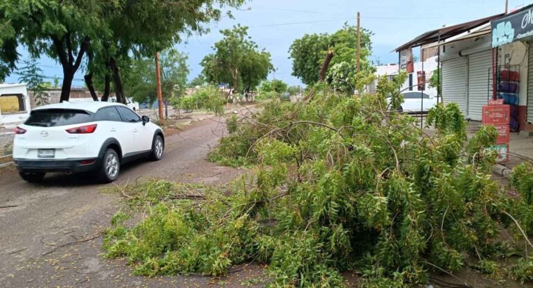 Fuertes vientos causan daños en Cajeme y sur de Sonora