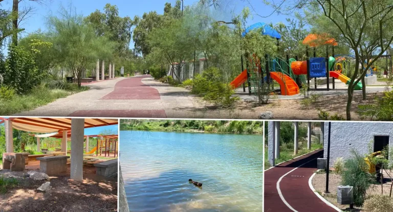 Avanza recuperación del Bosque Urbano La Sauceda en Hermosillo pese a retos climáticos