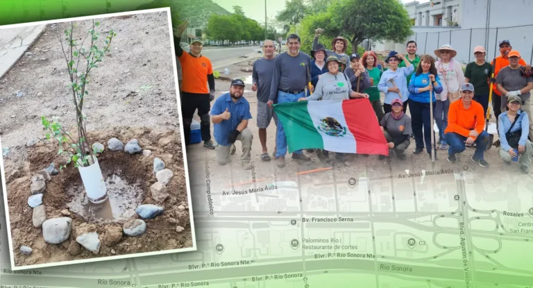 Reforestación en bulevar Serna busca plantar 1,500 árboles en Hermosillo Reforestación en bulevar Serna busca plantar 1,500 árboles en Hermosillo
