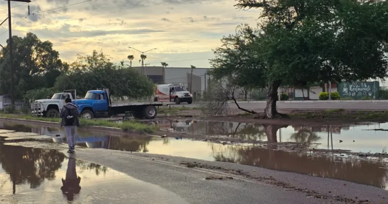 CFE restablece servicio eléctrico al 97% de usuarios afectados tras huracán Polo