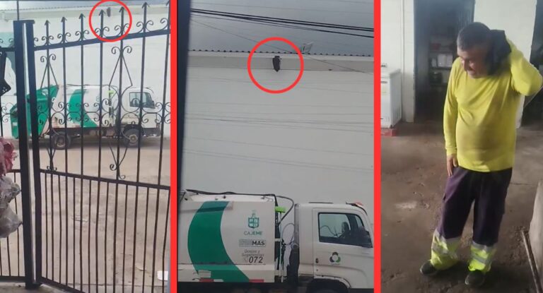 Trabajador de Tecmed es atacado por abejas durante recolección en Ciudad Obregón