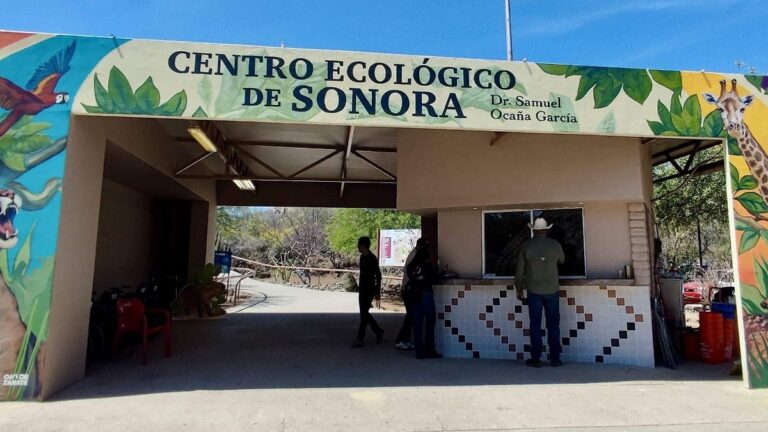 Centro Ecológico de Sonora retoma horario habitual y anuncia novedades