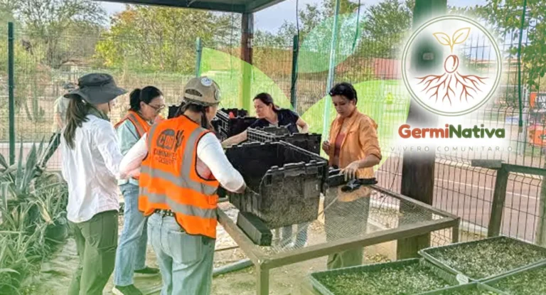 Lanzan GermiNativa en Hermosillo para propagar plantas nativas y combatir el calor