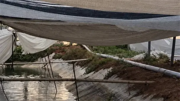 Dos hombres mueren por descarga eléctrica en represo de Hermosillo