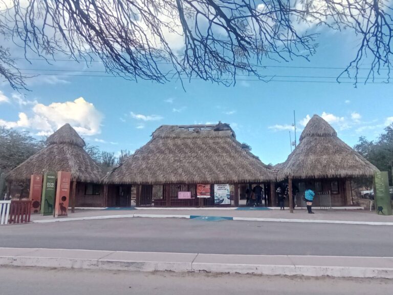 Buscan 15 millones de pesos para rehabilitar invernadero del Centro Ecológico de Sonora