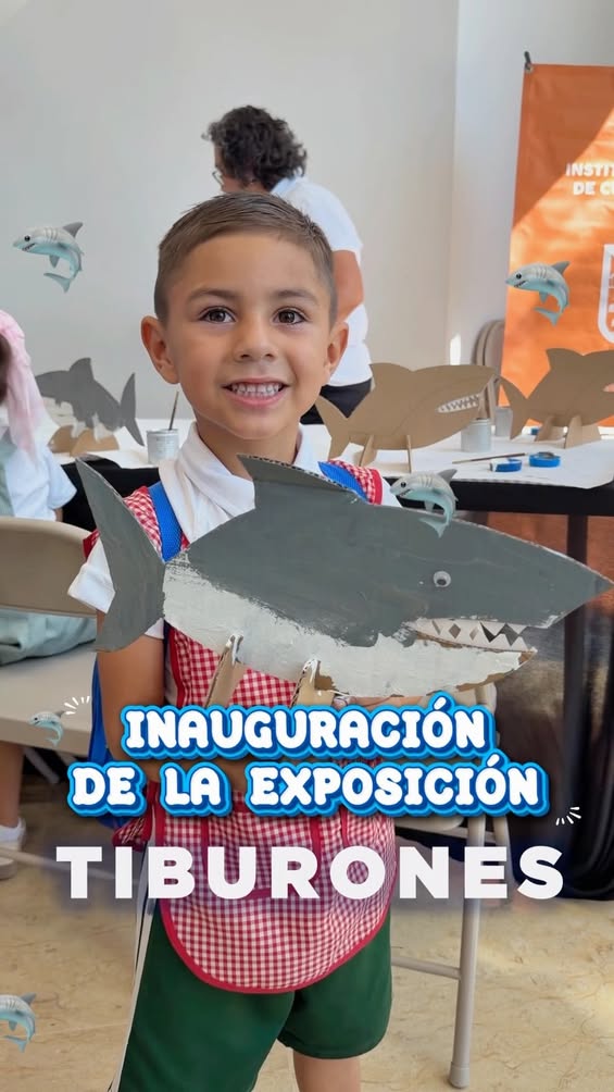 Exposición internacional sobre tiburones disponible en MUSAS hasta diciembre Exposición internacional sobre tiburones disponible en MUSAS hasta diciembre