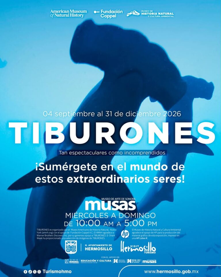 Hermosillo recibe exposición internacional de tiburones en el MUSAS