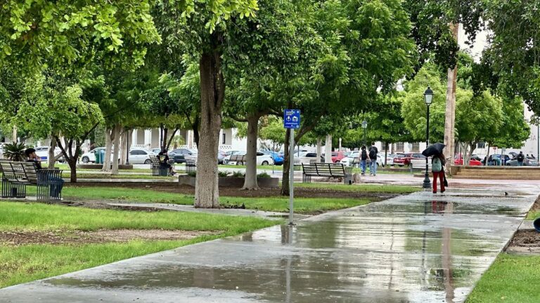 Universidades de Sonora suspenden clases presenciales por huracán Polo