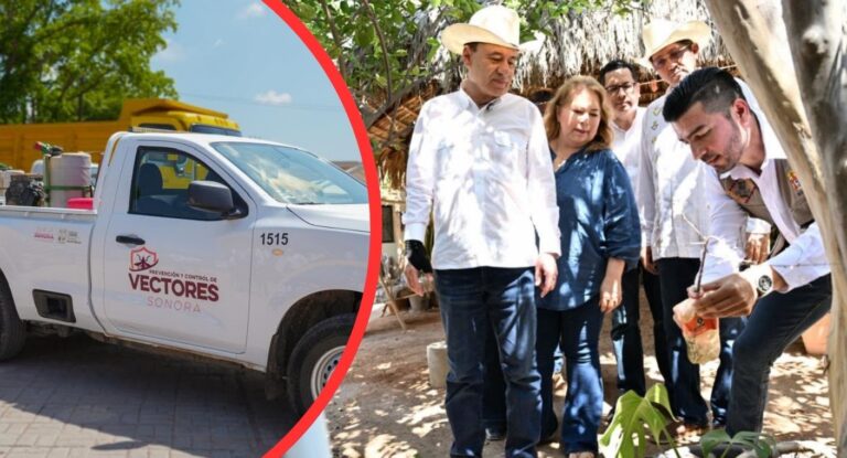 Sonora refuerza combate contra dengue, Zika y chikungunya en Segunda Jornada Nacional