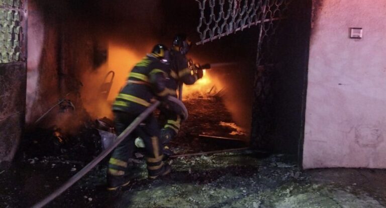 Incendio en vivienda de Gustavo A. Madero deja 14 perros muertos