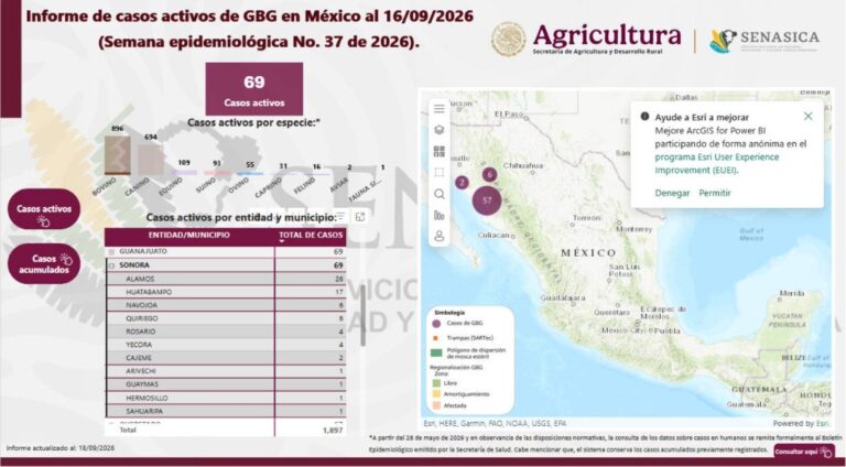 Sonora reporta 95 casos acumulados de gusano barrenador en 2026