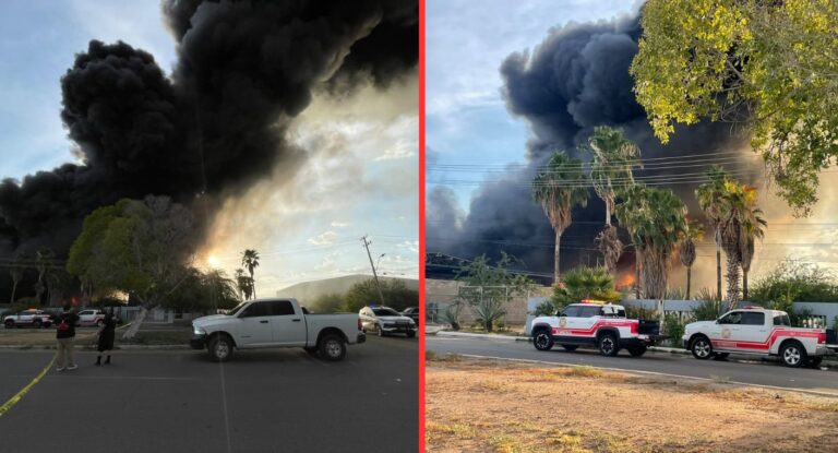 Incendio consume empresa recicladora en Hermosillo sin lesionados Incendio consume empresa recicladora en Hermosillo sin lesionados