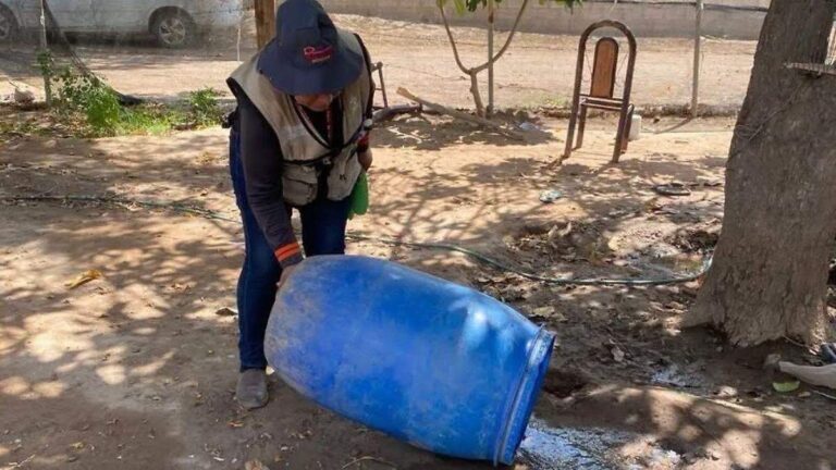 Repunte de casos de dengue en Sonora vinculado a lluvias en 2026 Repunte de casos de dengue en Sonora vinculado a lluvias en 2026