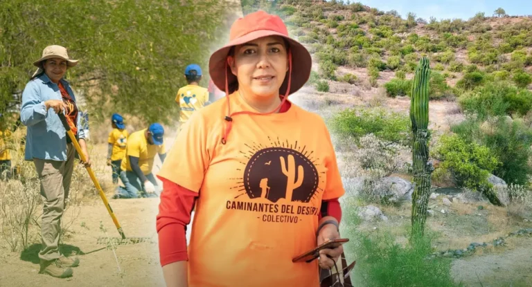 Caminantes del Desierto promueven conservación del Cerro Johnson en Hermosillo Caminantes del Desierto promueven conservación del Cerro Johnson en Hermosillo