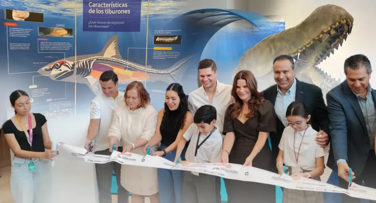 Exposición de tiburones en Hermosillo destaca su importancia ecológica Exposición de tiburones en Hermosillo destaca su importancia ecológica