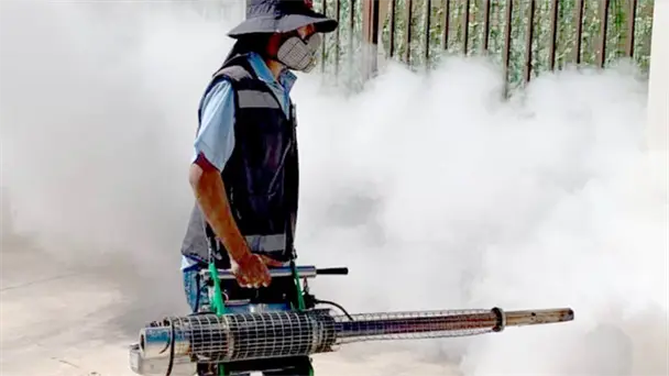 Sonora lidera casos de dengue en 2026 con mil 195 contagios acumulados Sonora lidera casos de dengue en 2026 con mil 195 contagios acumulados