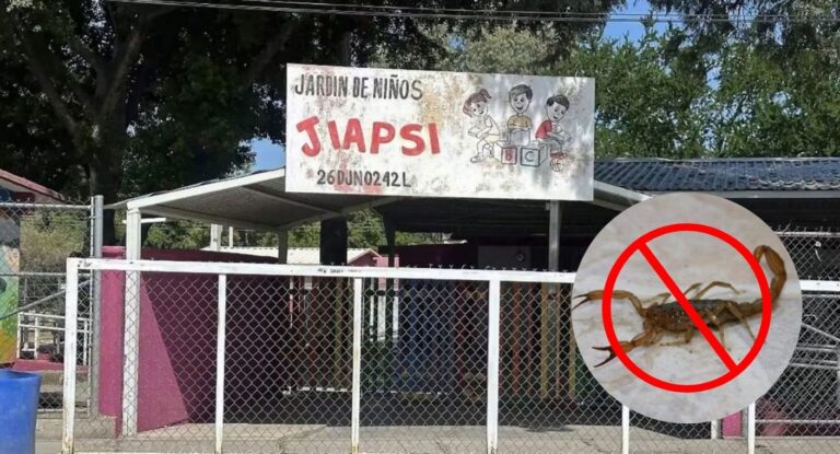 Clases a distancia continúan en preescolar Jiapsi de Hermosillo por plaga de alacranes