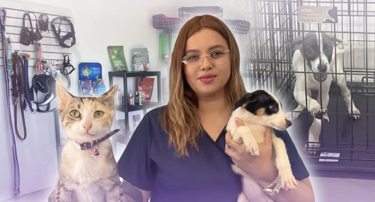 Garra Urbana cumple un año promoviendo la adopción responsable de mascotas en Hermosillo