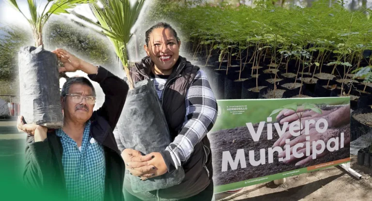 Vivero Municipal de Hermosillo produce más de 65 mil plantas nativas desde 2022