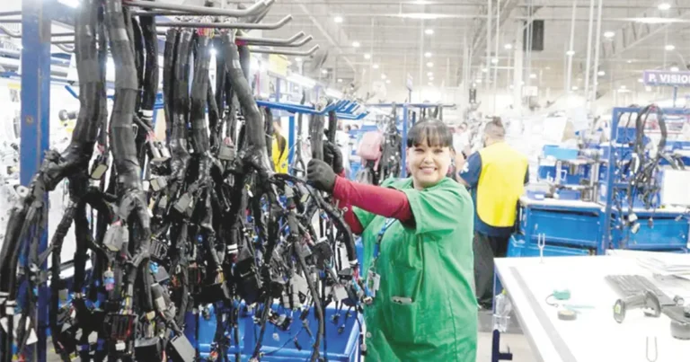 Sonora suma 5,315 empleos formales en septiembre de 2026, reporta el IMSS