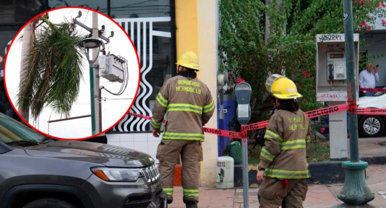 Paloma provoca falla eléctrica cerca de gasolinera en el centro de Hermosillo