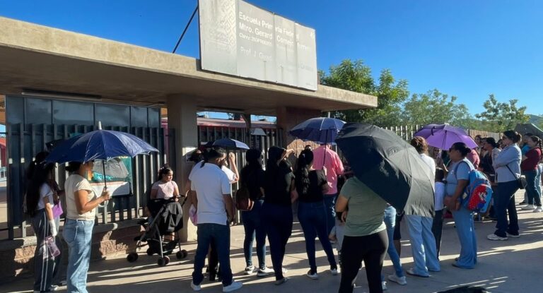 Cierran escuela en Hermosillo por plaga de garrapatas; anuncian apoyo para fumigación