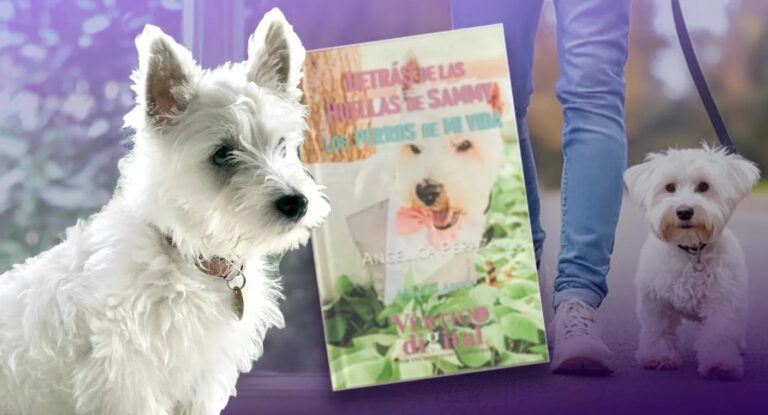 Angélica Peraza presentará libro sobre duelo por mascotas y donará 50% de ventas a Salvando Lomitos y Michis