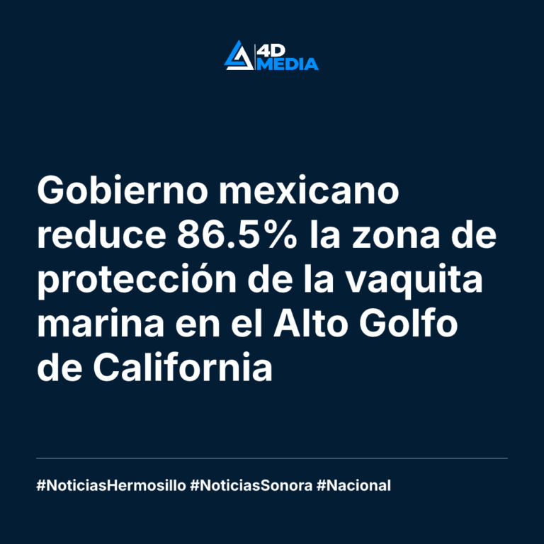 Gobierno mexicano reduce 86.5% la zona de protección de la vaquita marina en el Alto Golfo de California