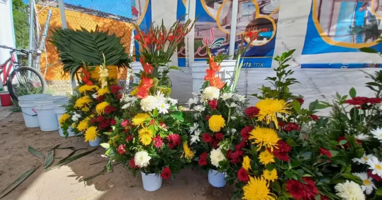 Ayuntamiento de Hermosillo ofrece 428 espacios para venta en panteones por Día de Muertos