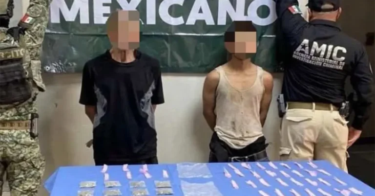 Aseguran más de seis millones de dosis de droga en Sonora durante operativo conjunto