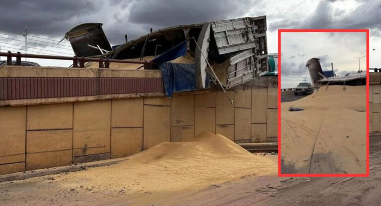 Tráiler cargado con semilla vuelca y queda colgando de un puente en Ciudad Obregón