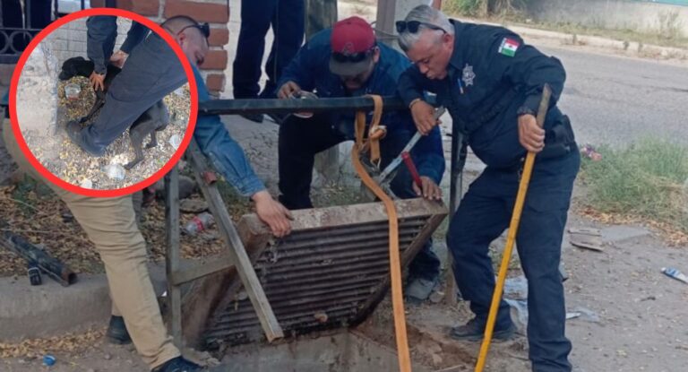 Rescatan a perro tras cinco días atrapado en alcantarilla en colonia Las Minitas